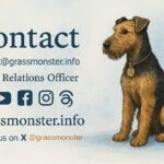 Contact